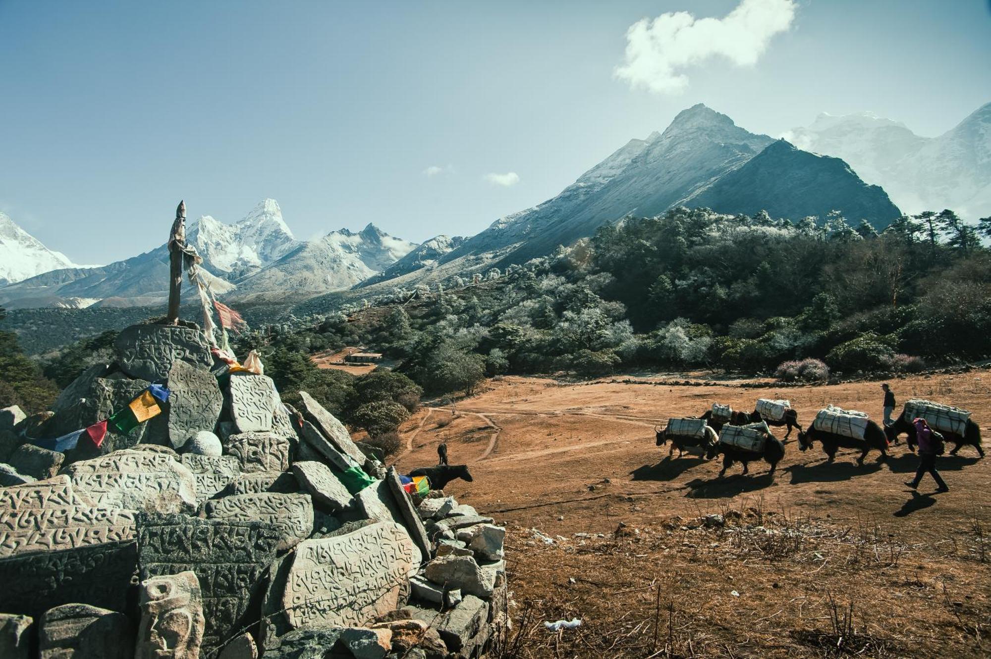 เยติเมาเท่นโฮม นามเช Hotel Namche ภายนอก รูปภาพ